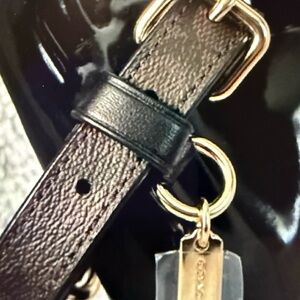 NWT Coach Black and Brown Dog Collar